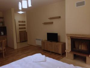 Northstar Ski Apartment in Mountain Lake Hotel