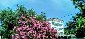 Panorama Apartments Pieria Greece