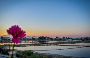 Salt Lake Apts lake & sea view Zakynthos Greece