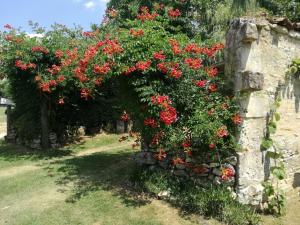 Maisons de vacances le gite des 3 saules : photos des chambres