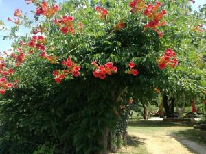 Maisons de vacances le gite des 3 saules : photos des chambres