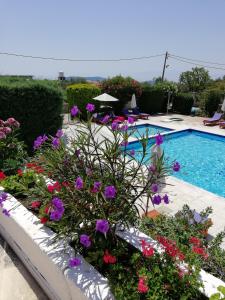 Hotel Paradise Skiathos Greece
