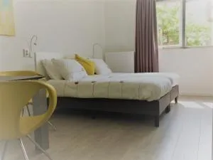 哈勒姆49住宿加早餐旅馆 - Vijfhuizen