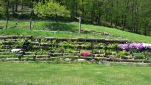 Il Sogno Della Vita AgriResort - Country Rooms & Suites