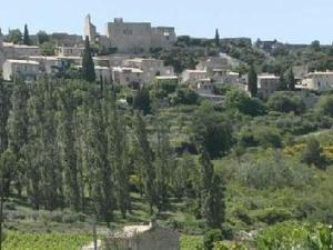 Maisons de vacances Gites des Cedres : photos des chambres