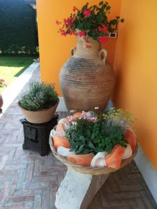 Orange House La Brigata Apartments