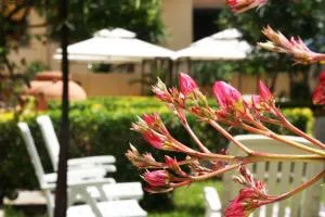 Solemare B&B - Apartment Alghero - Alghero