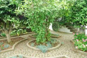 Quinta dos Figos "5 Trevos GOLD"