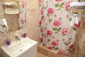 Deluxe Double or Twin Room room in Hotel Alexandria Sheremetievo