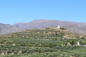 Grapevines Villas Lasithi Greece