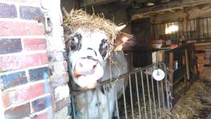 Sejours a la ferme ferme pedagogique des pennetieres : photos des chambres