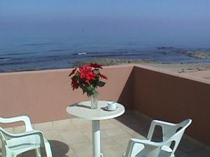 Pelamare Heraklio Greece