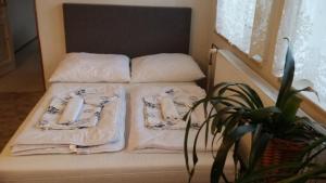 Apartment Rychtrovna