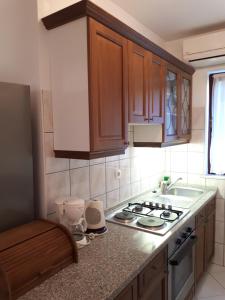 Apartment Tea Katnic