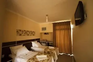 Estrada Real Palace Hotel - 布鲁马迪纽