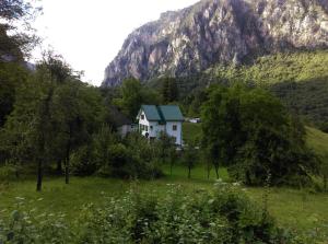 Chata Vila Montana Dobrilovina Černá Hora