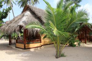 Shivas Beach Cabanas