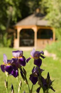 Fort Marcy Suites bySeasons Resort Lodging