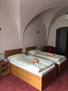 Comfort Triple Room room in Hotel U Zlateho Andela