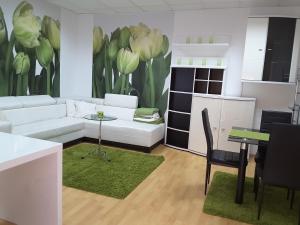 DELUX duplex apartment 