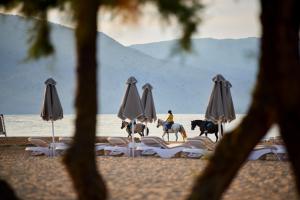 Mythos Palace Resort & Spa Chania Greece