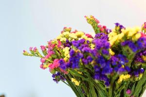 Old Town Riverview Apartment