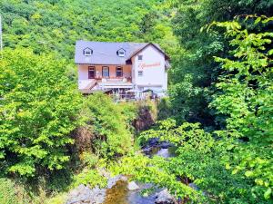 Pension Hotel Elfenmühle Bad Bertrich Deutschland