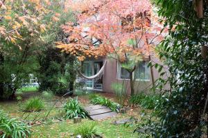 Plenilunio Mar de las Pampas