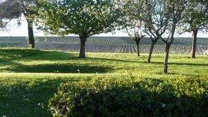 Maisons de vacances Gite Des Vignes : photos des chambres