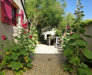 Sejours chez l'habitant Entre Mer et Marais Salants : photos des chambres