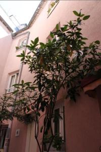 Hotels Hotel Aladin : photos des chambres