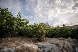 Villa Athina Naxos Greece