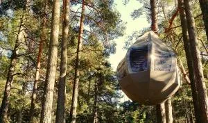 Feeling cone - Piņķi