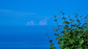 Adama Villas & Guesthouses Pelion Greece
