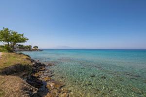 Photographer's Apartments Zakynthos Greece