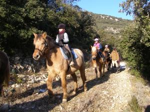 Villages vacances Park & Suites Village Gorges de l'Herault-Cevennes : photos des chambres