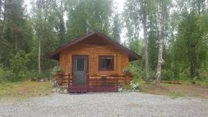 Talkeetna Fireweed Cabins - تالكيتنا