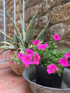 La Magione dei Todaro