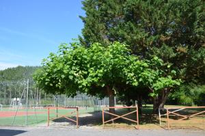 Maisons de vacances Weckerlin : photos des chambres