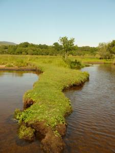 Birchwood Guest Lodge