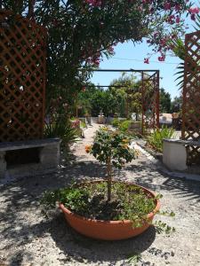 Apartamento con vistas al jardín