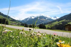 Appartements Moahof Zuhaus