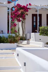 Mirabeli Apartments & Suites Milos Greece