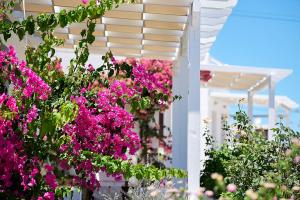 Mirabeli Apartments & Suites Milos Greece