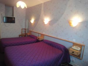 Hotels Hotel Restaurant La Grenouillere : photos des chambres