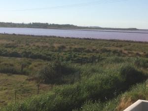 Appartements En camargue : Appartement avec Jardin Privé - Rez-de-Chaussée