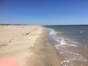 Appartements En camargue : photos des chambres