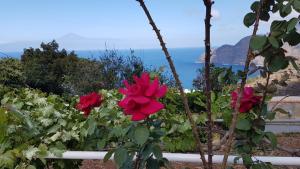 Apartamentos Casa María