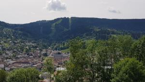 Appartements F2 SUR LES HAUTEURS DE GERARDMER : photos des chambres