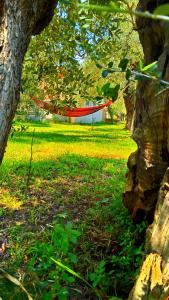Sunray Separate Villa Thassos Greece